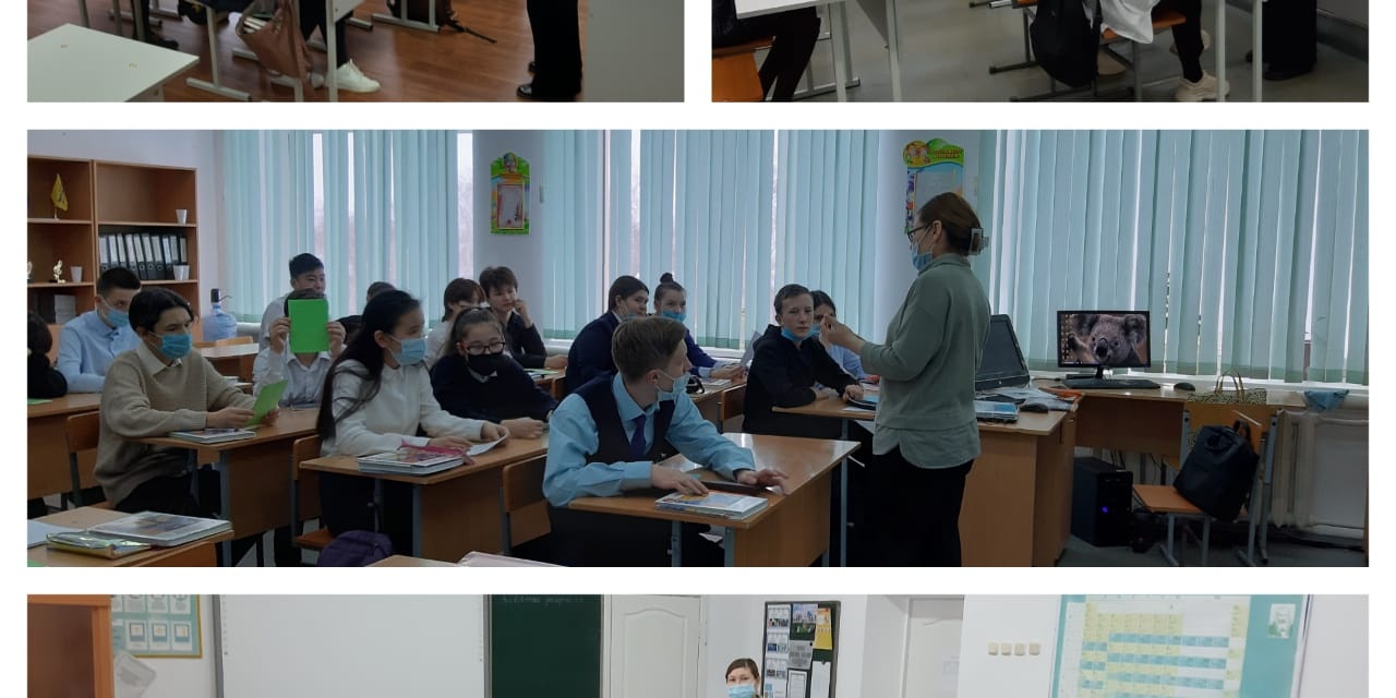 Кәсіптік бағдарлау