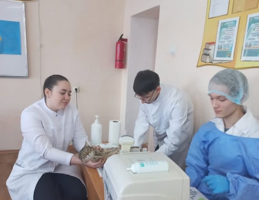 “Жануарлар әлемінің құпиялары”